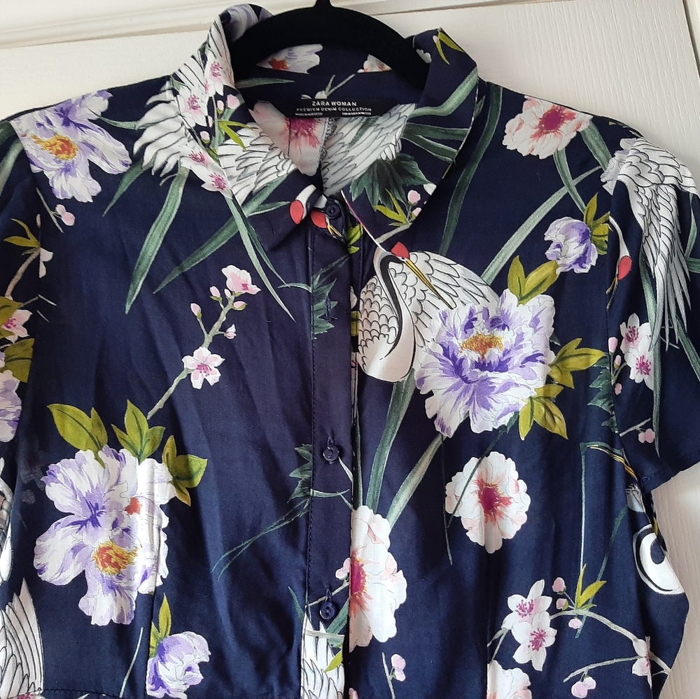 Zara dress